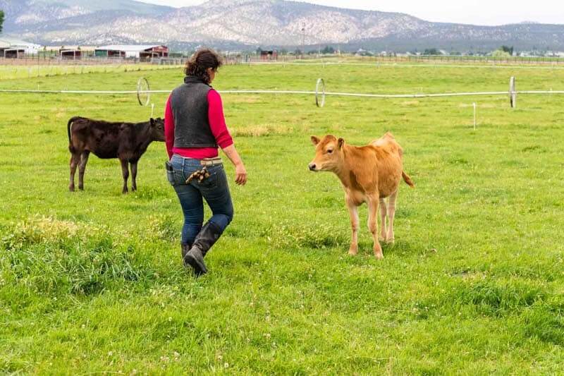 062820-Windy-Acres-Dairy-WWOLF-event-Central-Oregon-Loca_091